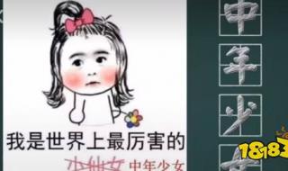 中二妇女是什么意思